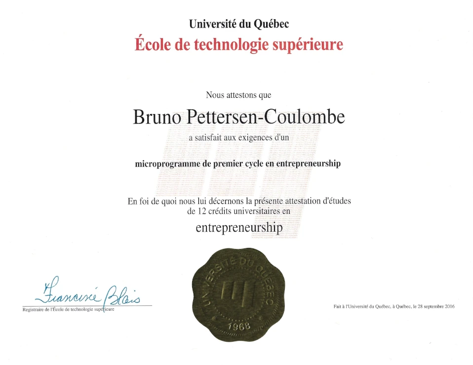 Minor, Entrepreneurship diploma